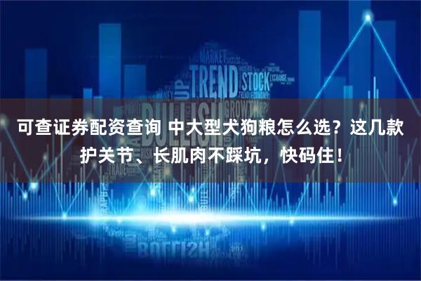 可查证券配资查询 中大型犬狗粮怎么选？这几款护关节、长肌肉不踩坑，快码住！