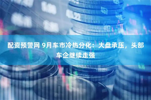 配资预警网 9月车市冷热分化：大盘承压，头部车企继续走强